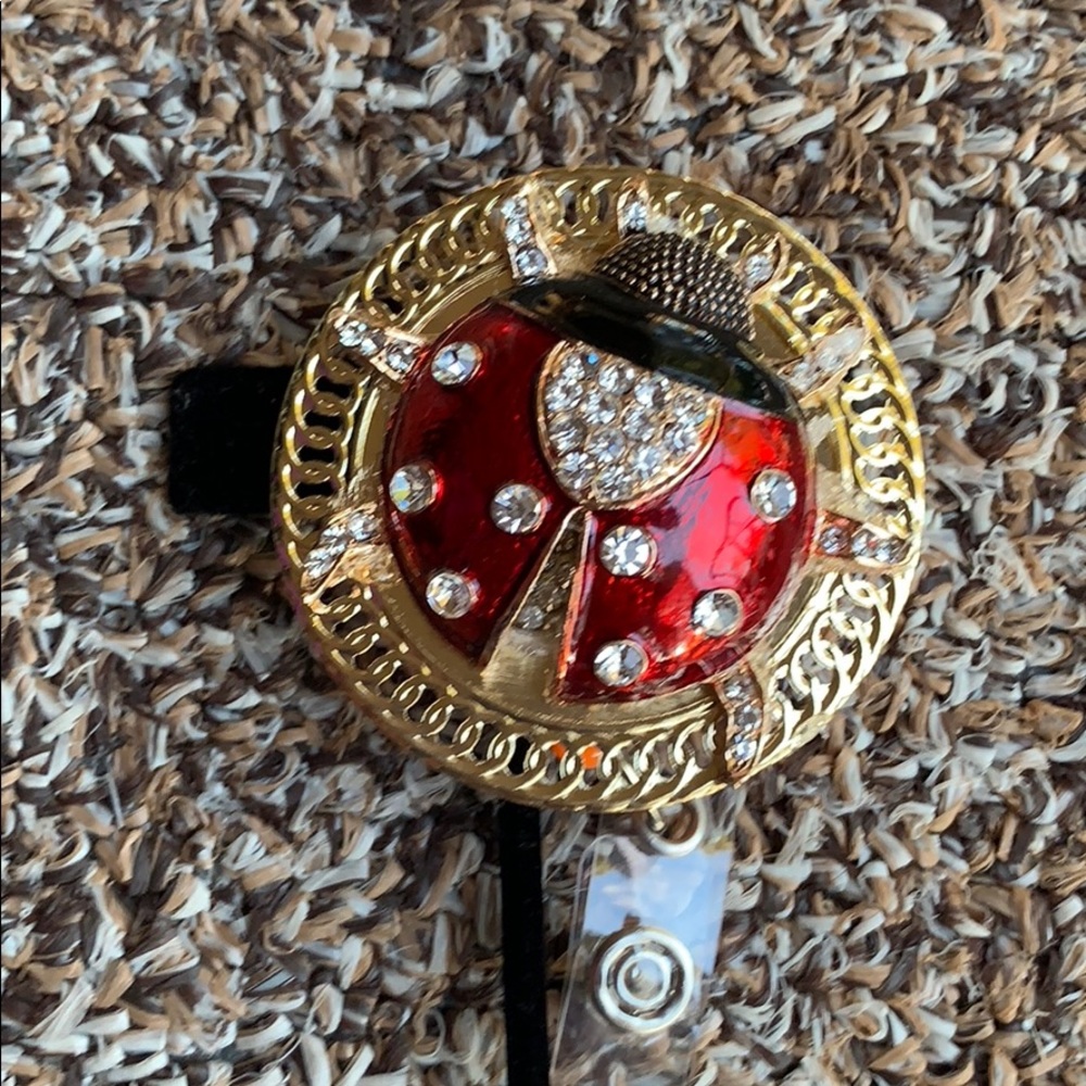 Pretty Ladybug 🐞 badge pull - Picture 2 of 7
